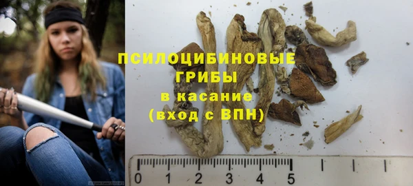 скорость Кукмор