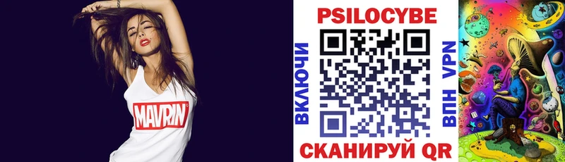 сколько стоит  Щёлково  кракен ONION  Псилоцибиновые грибы мухоморы 