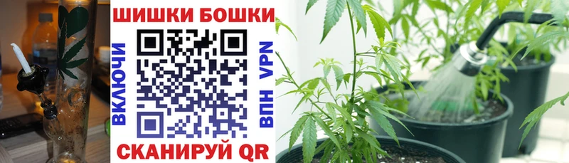 МАРИХУАНА OG Kush  купить наркотики сайты  Щёлково 